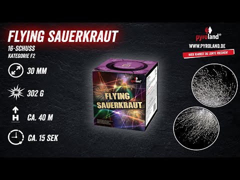 Flying Sauerkraut 16-Schuss-Feuerwerk-Batterie