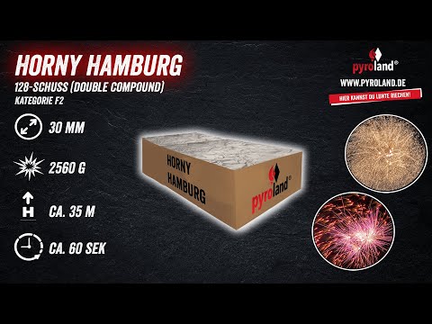 Horny Hamburg 128-Schuss-Feuerwerkverbund (Double Compound)